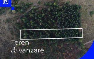 Teren situat in Frasin | BUCOVINA - Poză 1