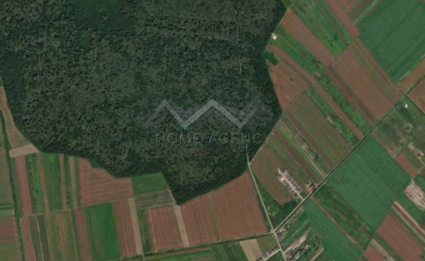Parcelă teren 433 mp lângă pădure - Poză 1