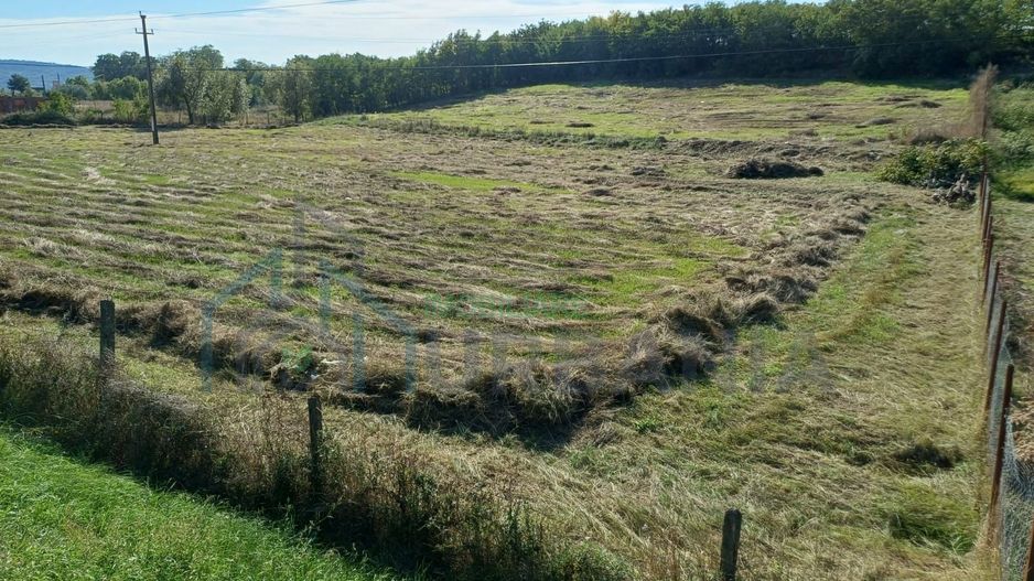 Teren intravilan 1 ha de vânzare în comuna Țigănași, la 22 km de Iași, zona Carniceni - Poză 2