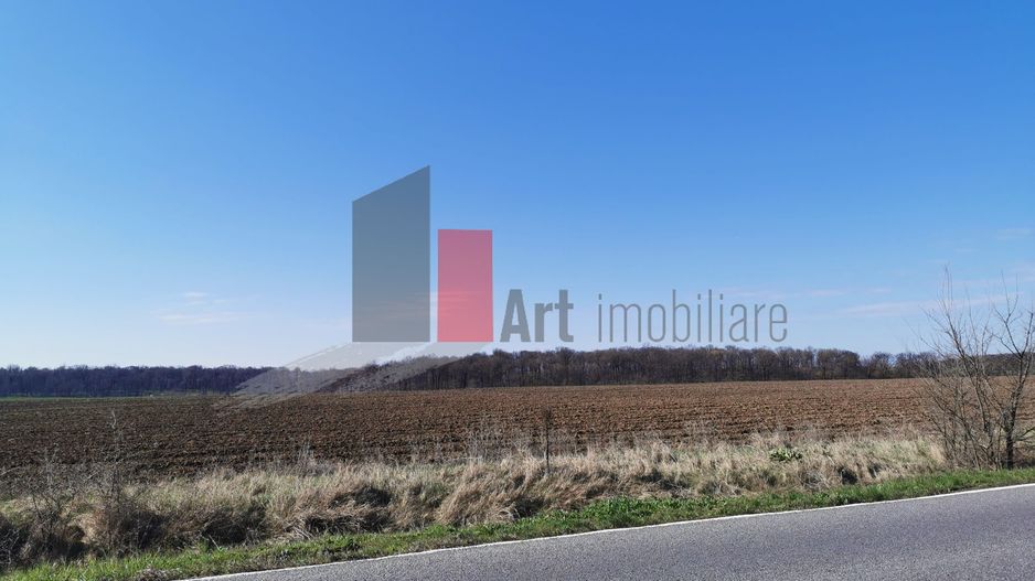 10 000 mp SNagov, langa Autostrada si Padure - Poză 1