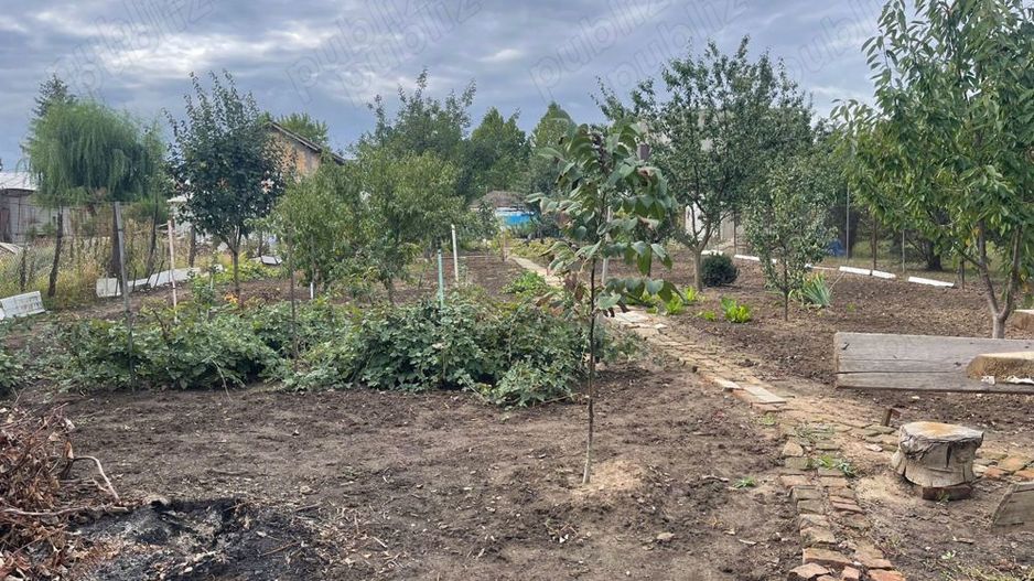 Teren de vanzare | Mogosoaia | 1252 mp - Poză 2