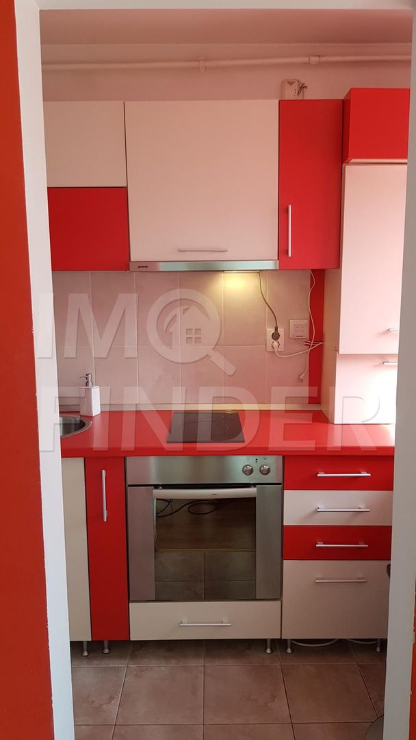 Inchiriere apartament 1 camera Centru, langa Platinia Mall/ USAMV - Poză 8