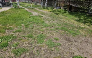 Casă 120 mp + teren 25 ari – Bușag, Tăuții Măgherăuș - Poză 11