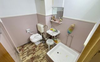 Apartament 4 Camere Teiul Doamnei Lacul Tei - Poză 15