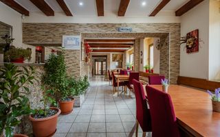 Afacere HoReCa de preluat – Pizzeria Venezia, Arad - Poză 5