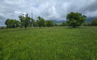 Teren intravilan Vanzare Parcelat - Poză 8