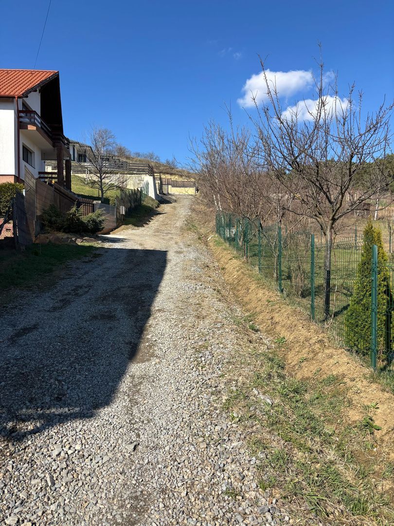 CASA CU 3 CAMERE PE UN NIVEL 110 mp ZONA CORUNCA - Poză 5