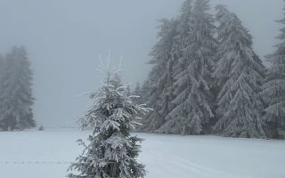 Cabana Exclusivista de vanzare in Belis - Cluj + 14.715 mp teren - Poză 4