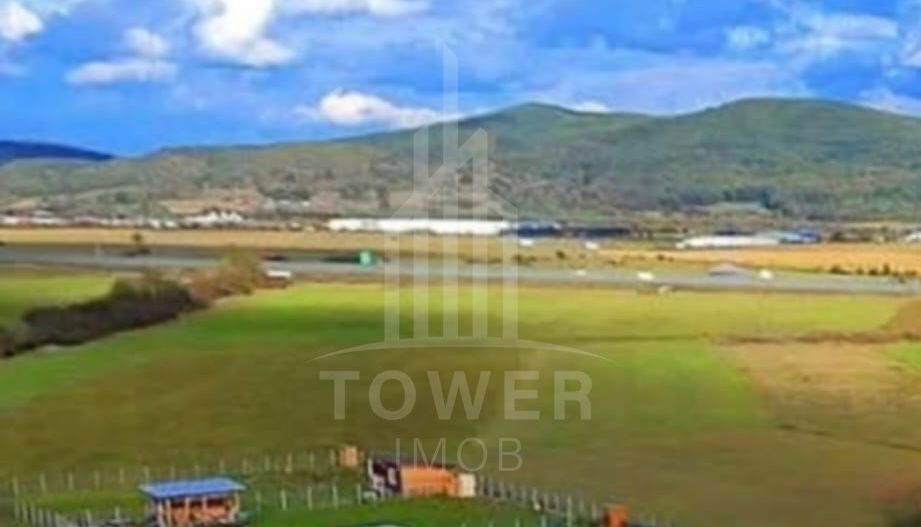 Grădină 862 mp cu cabanuta și pomi fructiferi – între Tălmaciu și Sadu - Poză 8