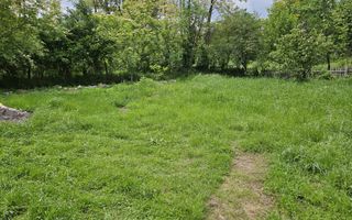 Vanzare casa Stroesti - Valea Valsanului - Poză 8