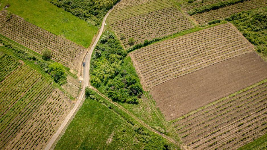 Teren extravilan - 3654 mp Dealul Șiriei - Poză 5