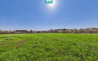 Teren intravilan 3024 mp, în comuna Almaș, Arad - Poză 4