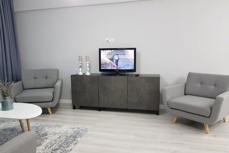 Închiriere 2 Camere Ultracentral, Vedere Dambovita, Renovat - Poză 3