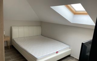 Pet-friendly, 2 camere, centrala proprie. - Poză 6