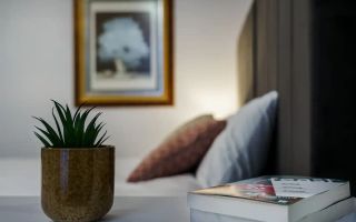 Proprietate ideala pentru investitie *354mp* inchirata pe 6 ani // Cismigiu - Poză 14