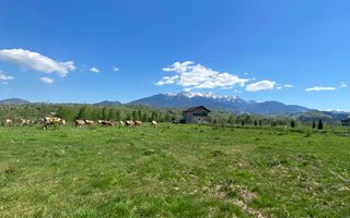 Teren Bran/ Predelut 10.663 mp. - Poză 4