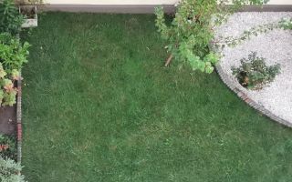 Casa cu mesteacan - DIRECT PROPRIETARI! - spectaculos toamna - Poză 10