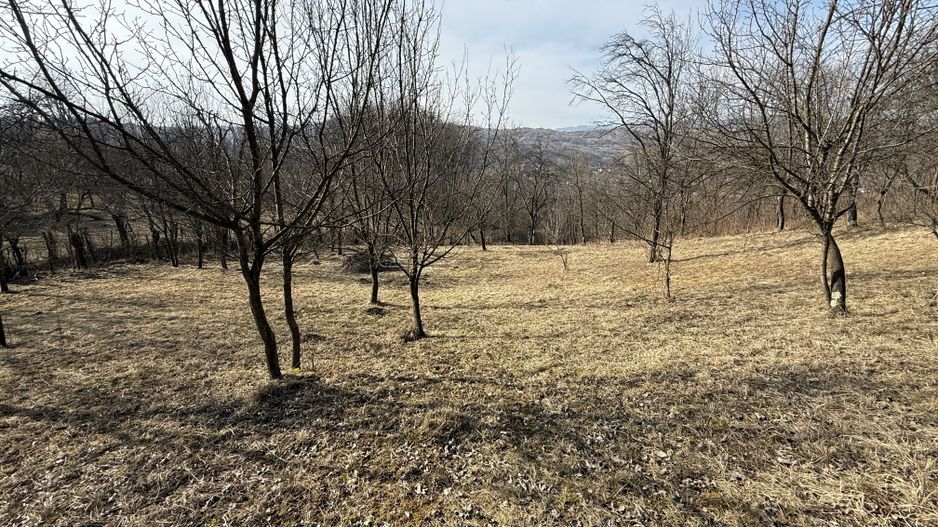 Teren intravilan 2788 mp deschidere 55 ml cu vedere panoramica ! - Poză 8