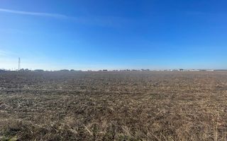 Teren 5000 mp Ghercesti in apropierea DEX - Poză 1