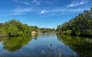Vânzare, teren agricol, 90 ha, Orhei, satul Seliște - Poză 12