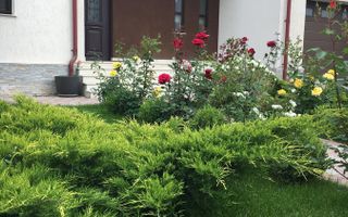 Bragadiru, vila individuala , 8 camere, piscina exterioara - Poză 7