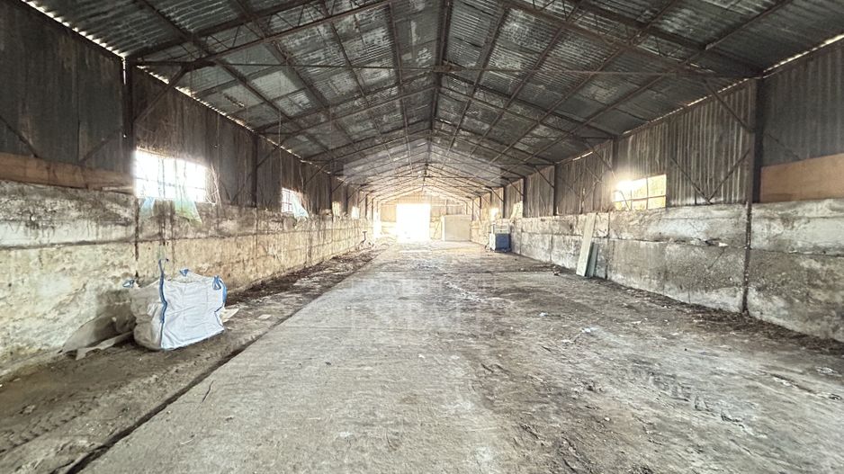 Hala depozitare productie Neptun 536 mp acces TIR - Poză 3