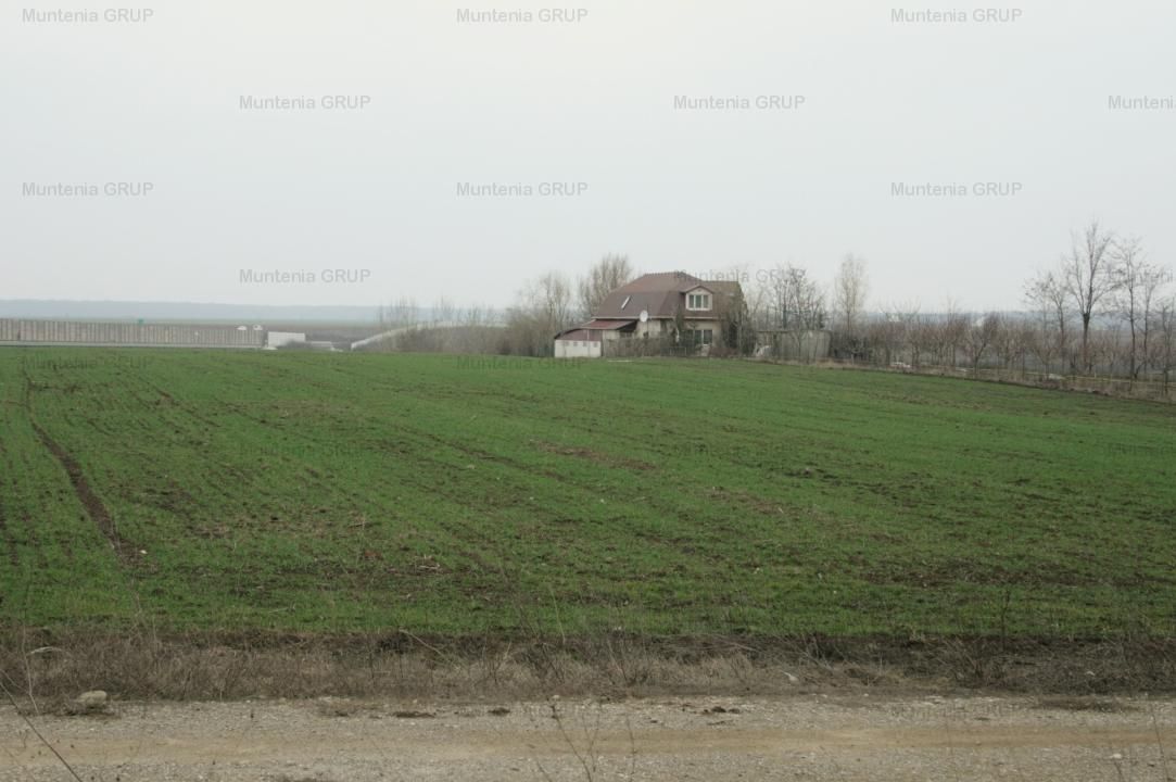 Moara Vlasiei, 5100 mp. teren intravilan, langa A3, toate utilitatile - Poză 6