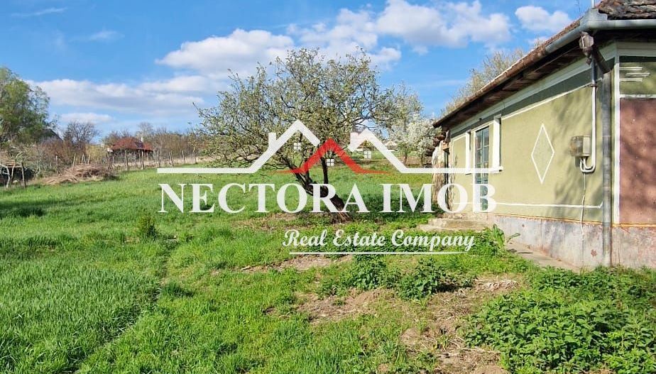NECTORA IMOB-Casa 70 mp cu teren 951 mp, front 16 mp, Paleu Centru - Poză 4