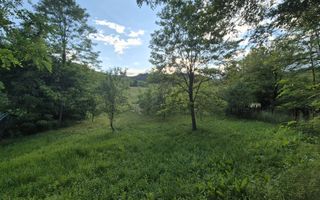 Teren intravilan 1201 mp – Curtea de Arges, Strada Haiducesti - Poză 4