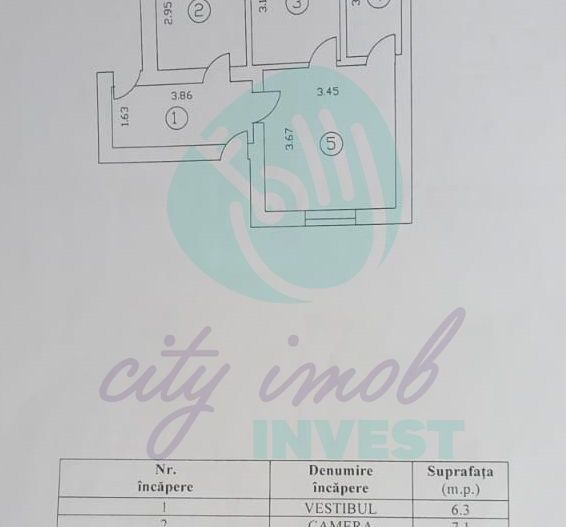 Vilă interbelică  în Aviatorilor - Poză 7