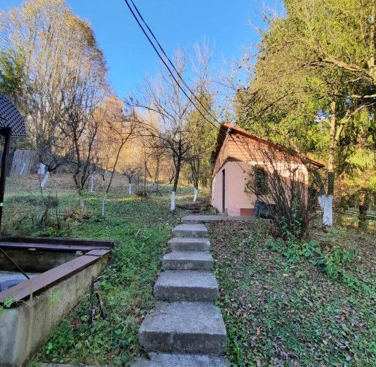 Casa 4 camere, teren 1960m2, CT, Provita, Prahova - Poză 6