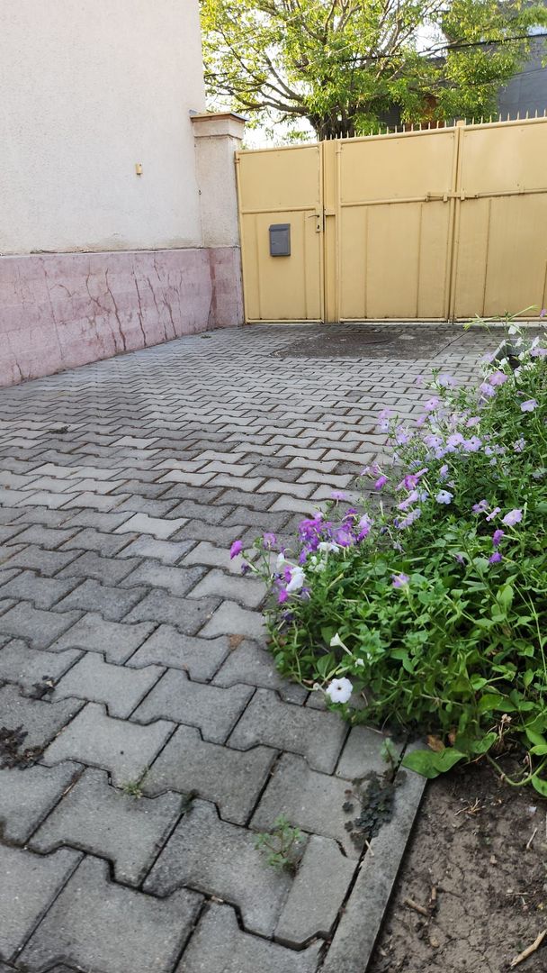 Casa zona Bogdanestilor Pozitie Unica Teren generos Comision 0 - Poză 14