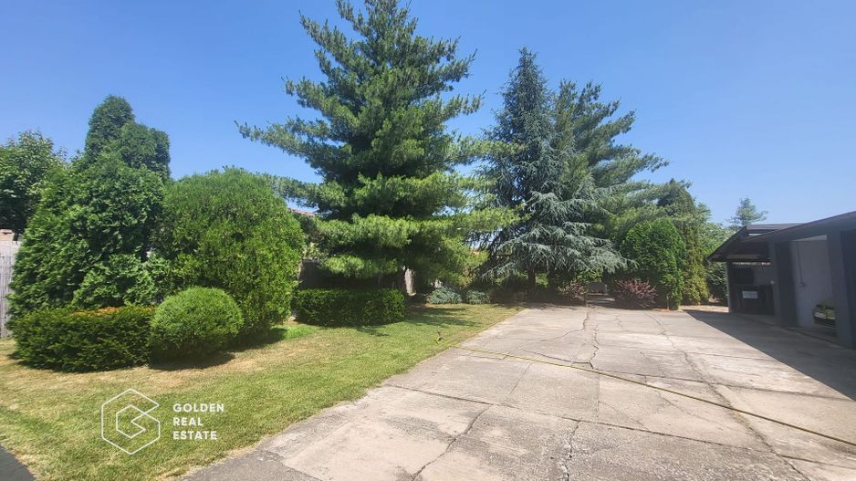 Vila cu potential in Chisoda - Poză 2