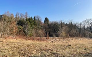 TEREN INTRAVILAN 1800 MP MIHAESTI ARGES COMISION 0 - Poză 9