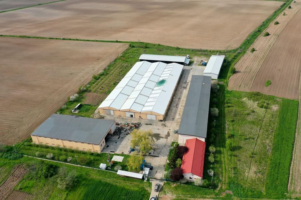 HALE INDUSTRIALE & PLATFORME BETONATE & TEREN INTRAVILAN 23500MP CRAIOVA - Poză 6