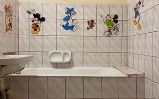 Apartament tip Pb mare, etaj 2, decomandat, str. Someșului, Oradea - Poză 9