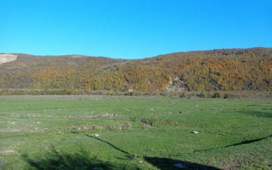 Teren Sacele - Poză 4