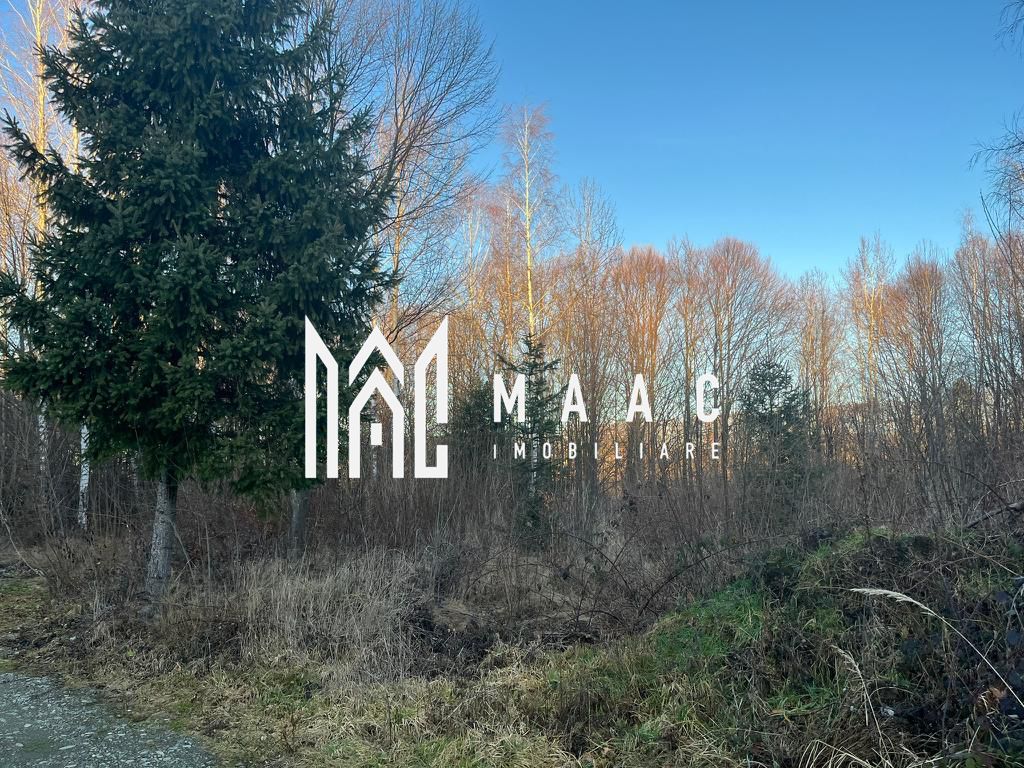 Teren 744 mp I Intravilan I Valea Avrigului - Poză 1