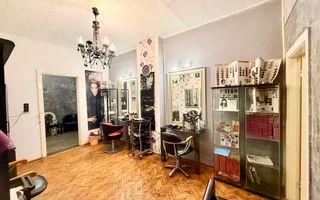 Calea Victoriei ap 2 camere cu terasa parter risc 1 - Poză 7