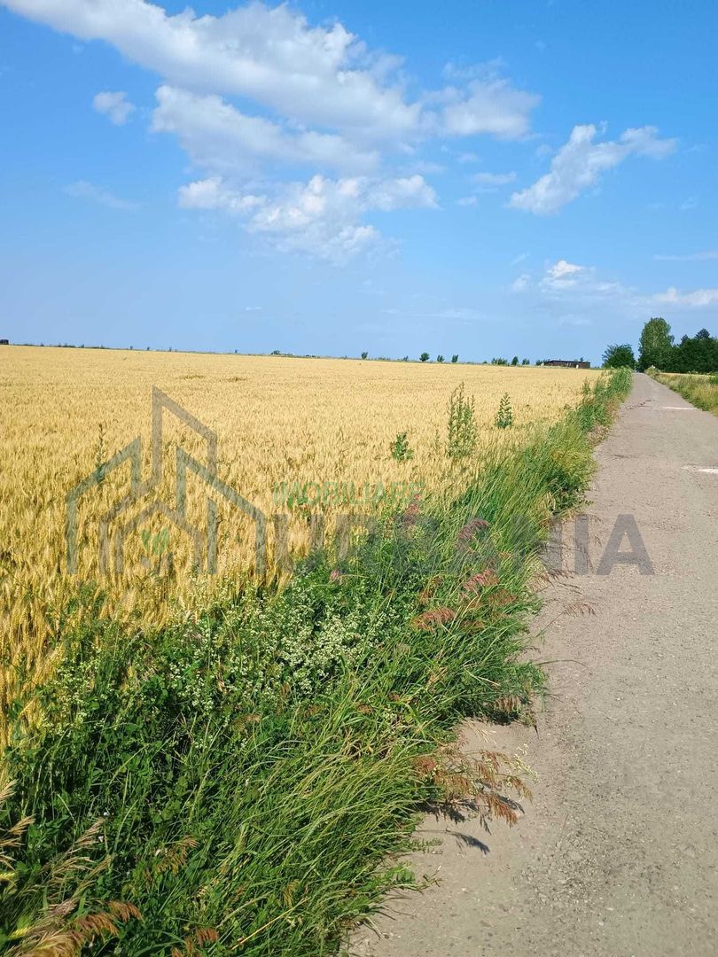 De vanzare teren extravilan valea ursului - Poză 2