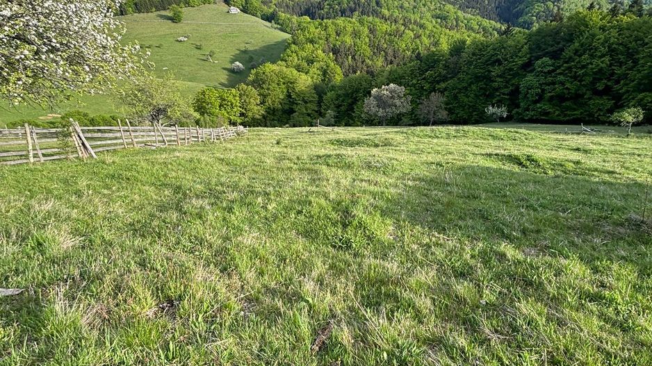 Teren de vânzare în Cugir - Poză 2