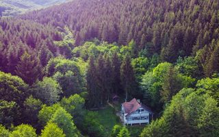 Vilă cu 4 camere | Valea Crișului | COMISION 0% - Poză 2