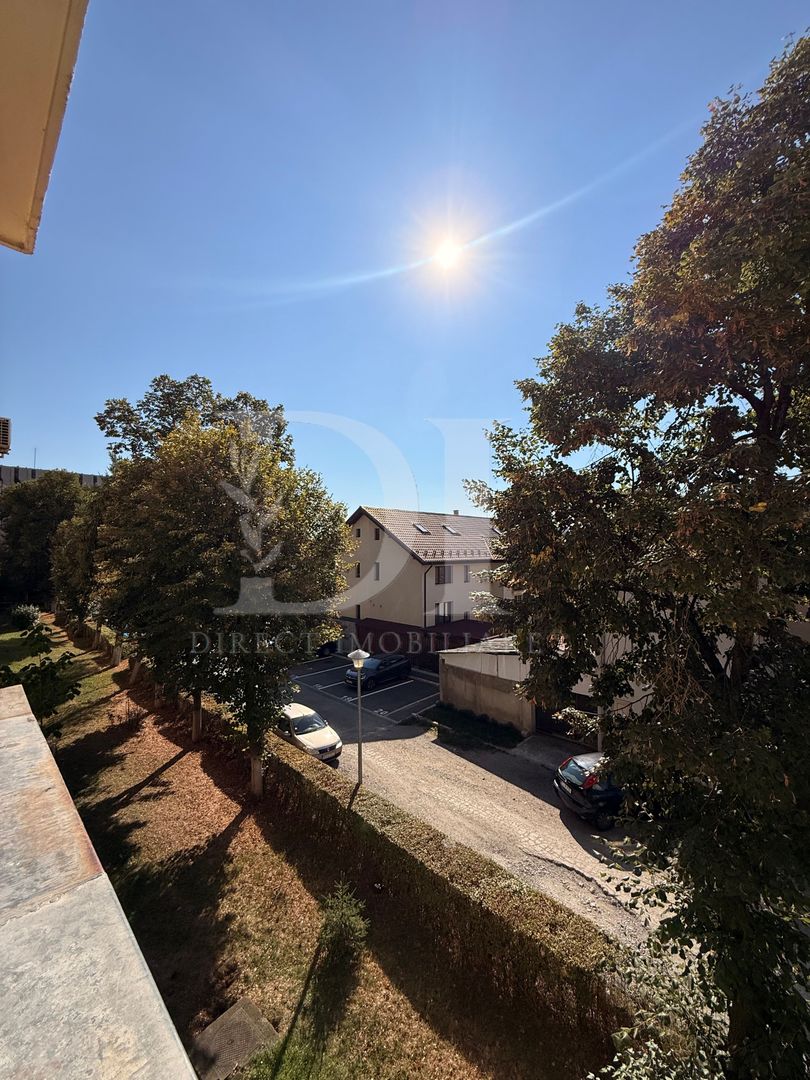 Apartament decomandat / etaj intermediar / Zona Grigorescu - Poză 20