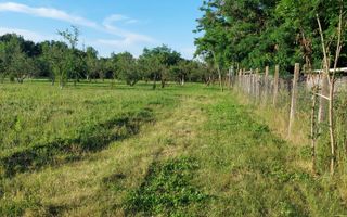 Vanzare casa deosebita, Suseni, Arges - Poză 8