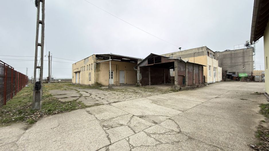 Inchiriere Clădire Producție, Depozitare 278 mp -Teren 1380 mp - Carei - Poză 10