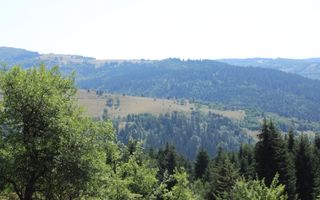 Terenuri Carpinis I parcelabil I Curent pe proprietati - Poză 8