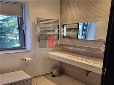 Inchiriere  Vila  Erou  Iancu de Nicolaie - Jolie Ville - Poză 38