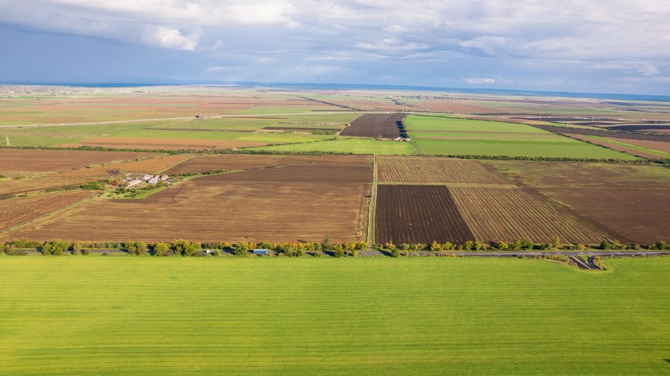 Teren de 50000 mp în Arad - Poză 5