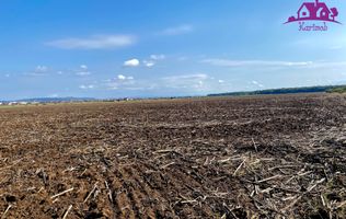 Teren pentru investitii zona Grigorescu