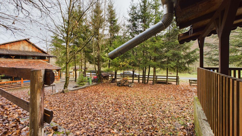 Casă de vacanța în Rădești jud.Arad - Poză 16